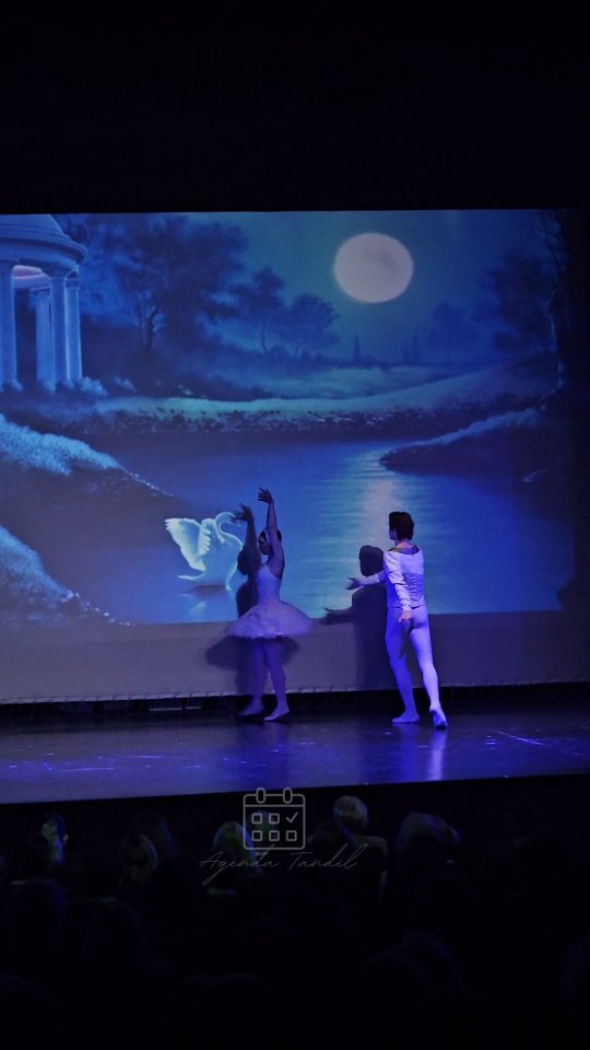 Ballet Clásico de San Petersburgo