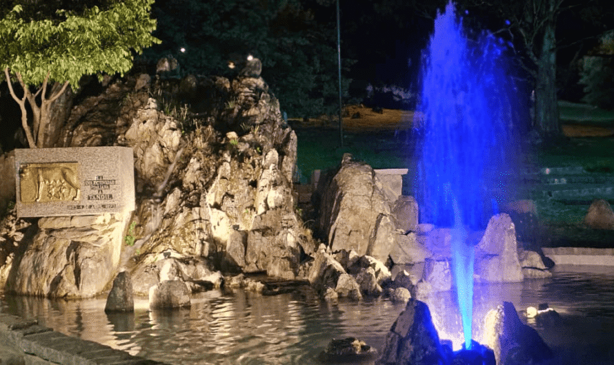 Puesta en Valor Fuente La Loba